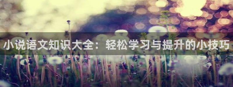 林枫与苏慕白小说趣笔阁