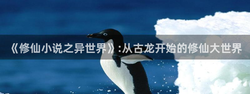 林枫与苏慕白小说趣笔阁
