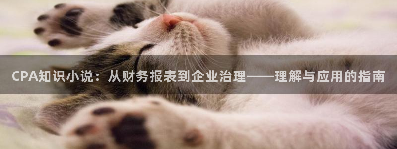 趣笔阁辣文：CPA知识小说：从财务报表到企业治理——理解与应用的指南