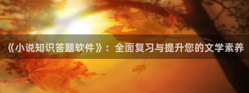 阿宾正传趣笔阁庆仔：《小说知识答题软件》：全面复习与提升您的文学素养