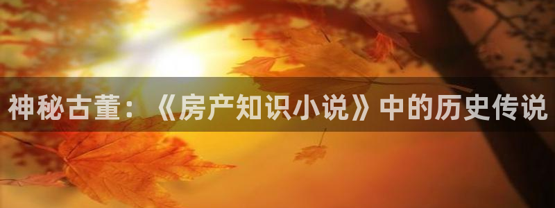 阿宾正传1—72与钰慧趣笔阁