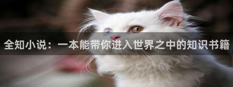 圣墟趣笔阁