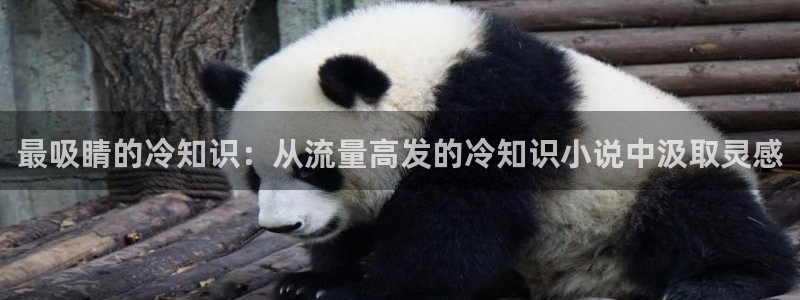 林枫与苏慕白小说趣笔阁