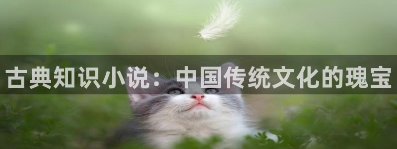 阿宾正传1—72与钰慧趣笔阁