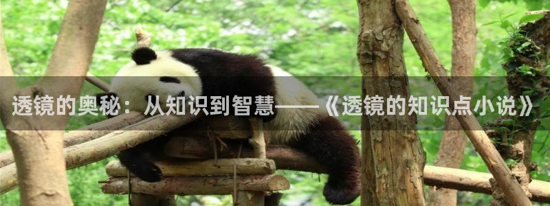 趣笔阁全本小说网
