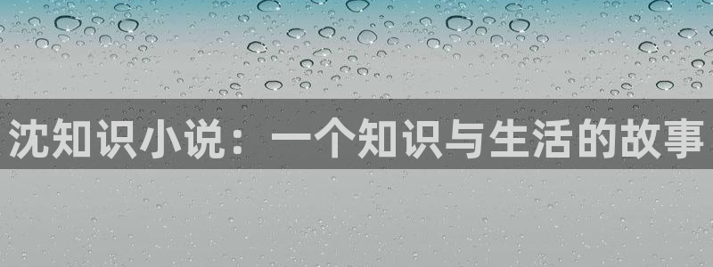 趣笔阁小说网：沈知识小说：一个知识与生活的故事