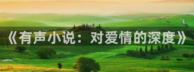 林枫与苏慕白小说趣笔阁：《有声小说：对爱情的深度》