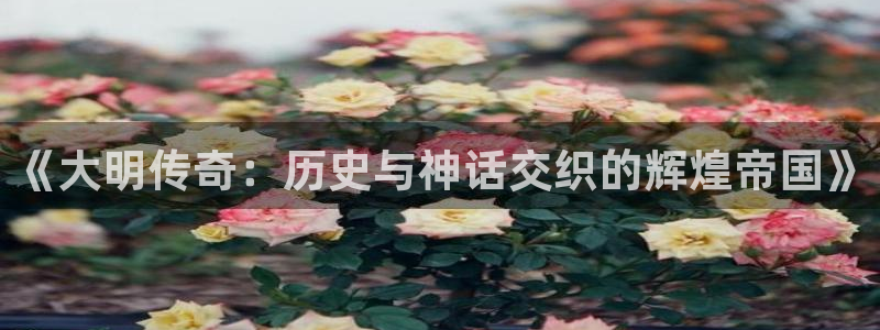 长日光阴似箭乱作一团趣笔阁：《大明传奇：历史与神话交织的辉煌帝国》