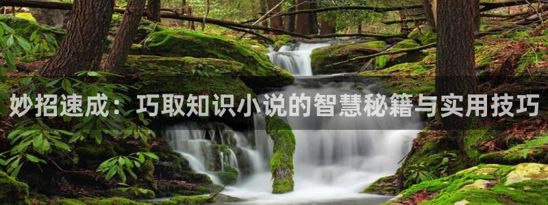 趣笔阁小说网：妙招速成：巧取知识小说的智慧秘籍与实用技巧