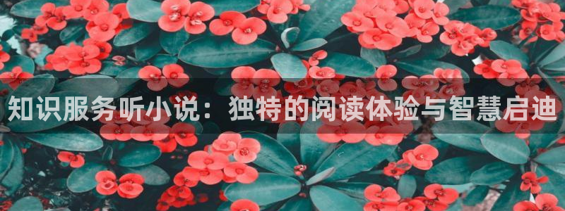 步步惊情韩雪老谢趣笔阁：知识服务听小说：独特的阅读体验与智慧启迪
