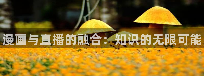 百炼成神趣笔阁