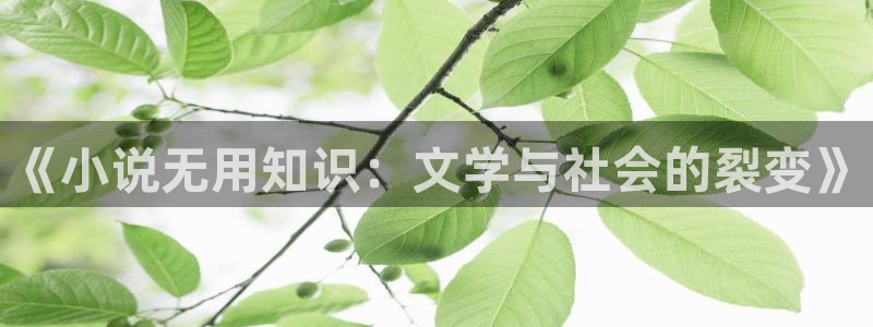 百炼成神趣笔阁：《小说无用知识：文学与社会的裂变》